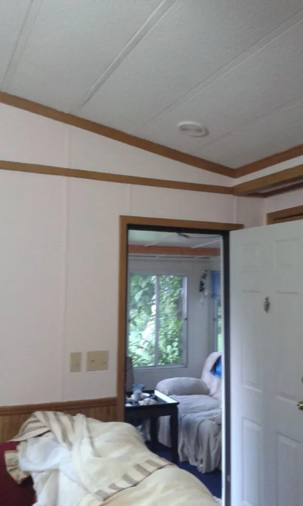 Professional yard cleanup service in Gorham, NH - Novellino Carpentry & Maintenance