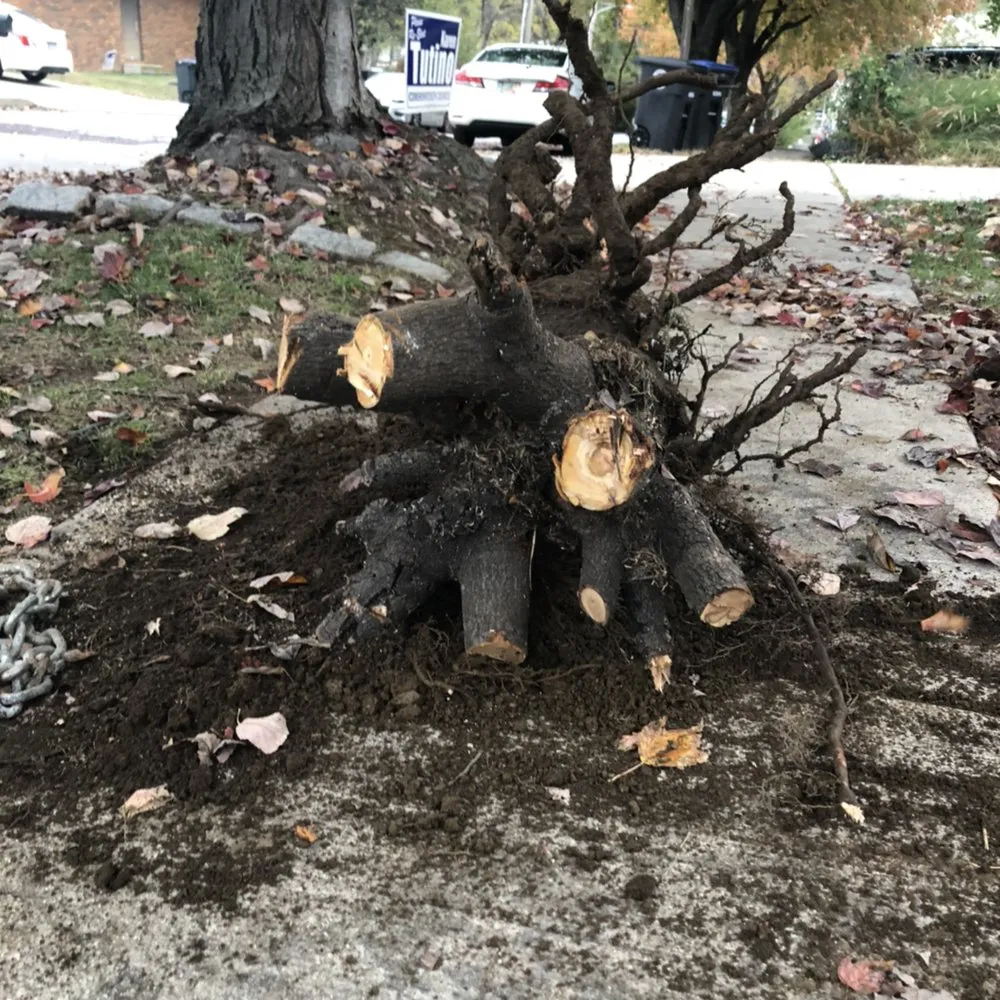 Reliable yard maintenance for beautiful yards in West Norriton, PA by Novitski Landscapes