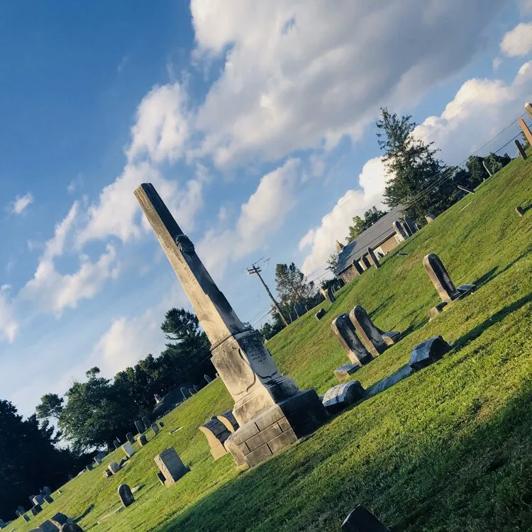 Expert lawn care service for outdoor upgrades across West Norriton, PA - Novitski Landscapes