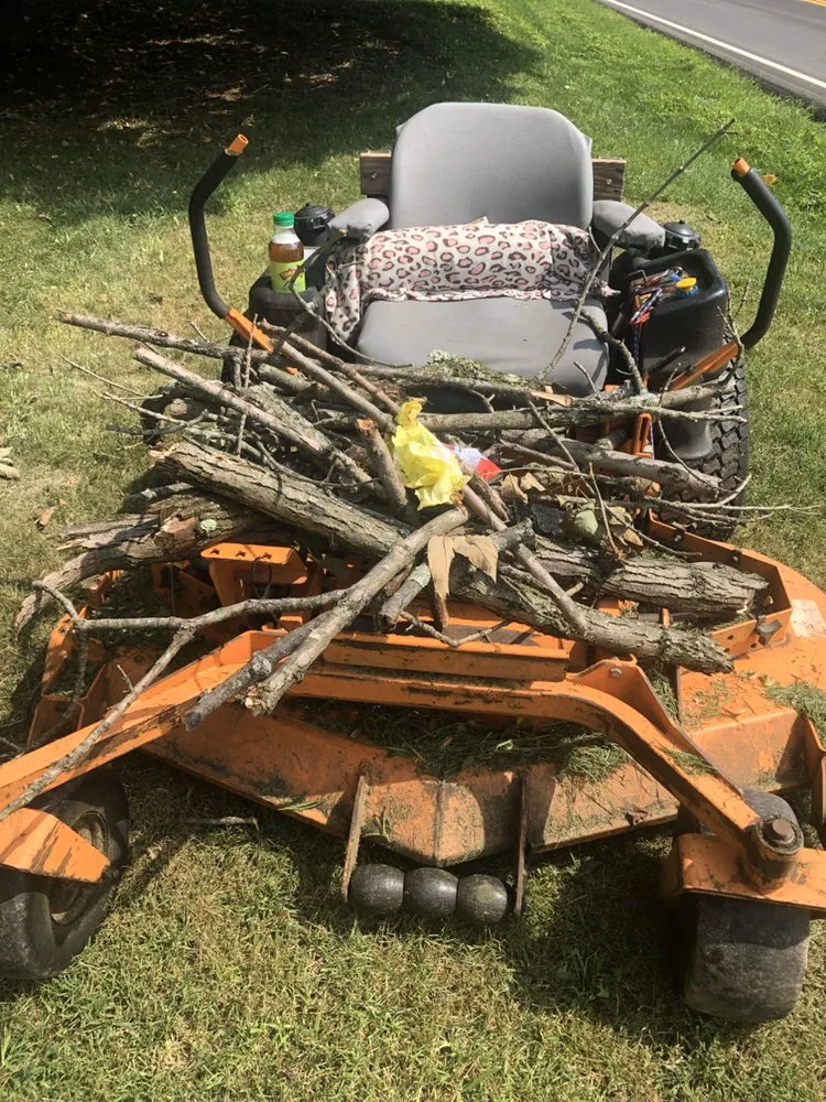 Expert garden landscaping experts serving West Norriton, PA - Novitski Landscapes