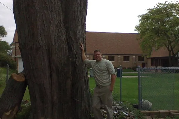 Professional yard maintenance in West Allis, WI by Novotny Landscaping