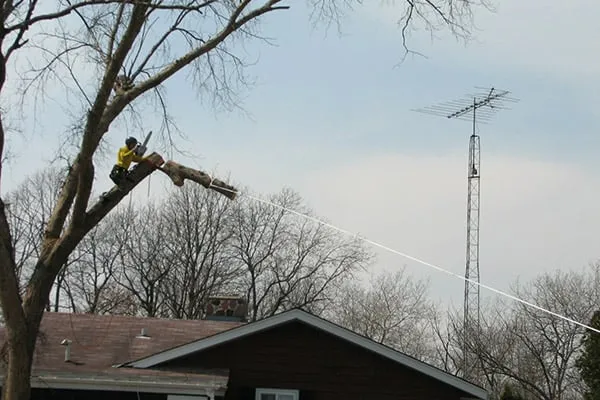 Top-rated lawn care service experts serving West Allis, WI - Novotny Landscaping