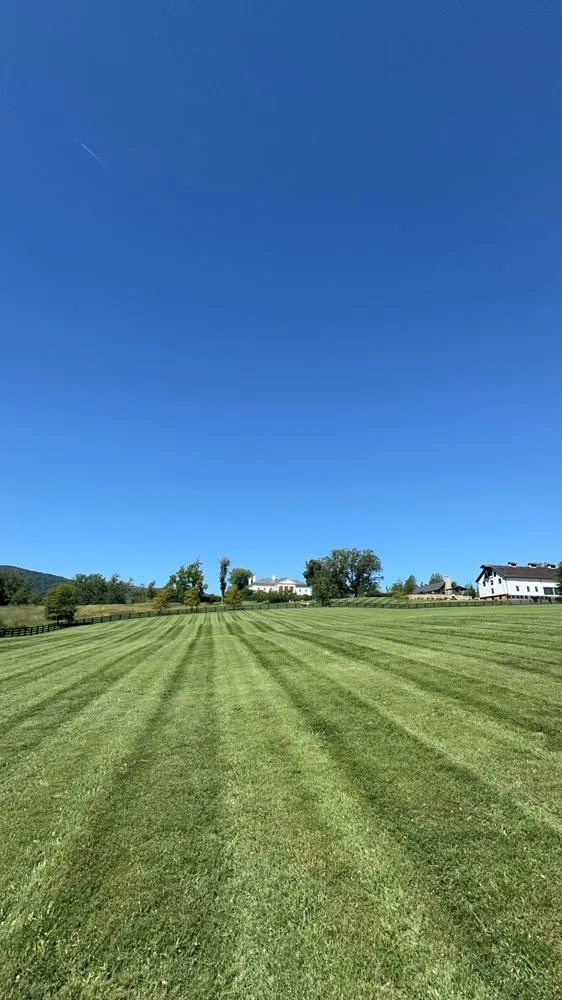 Expert yard cleanup service in Afton, VA - Now N Go