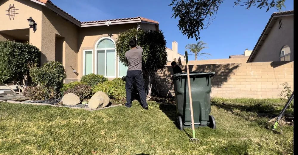 Trusted yard cleanup service for beautiful yards across Rialto, CA - Nox Landscaping