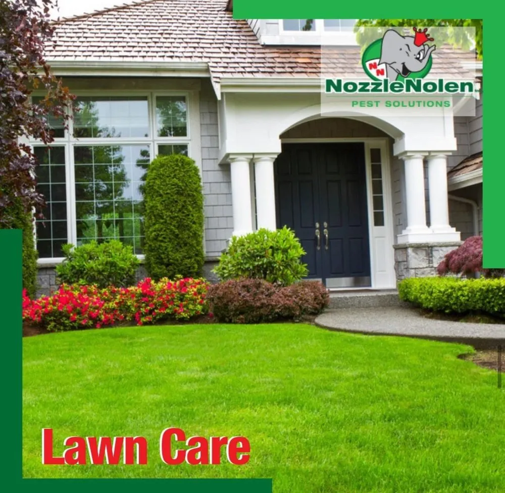 Reliable yard cleanup service experts serving Lake Worth, FL - Nozzle Nolen Pest Solutions