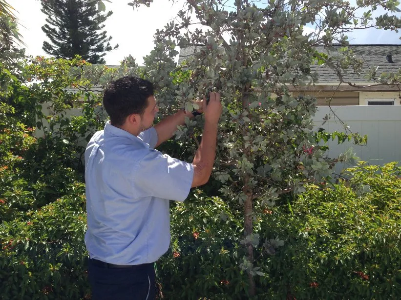 Expert residential landscaping experts serving Lake Worth, FL - Nozzle Nolen Pest Solutions