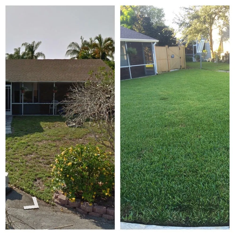 Affordable landscaping services experts serving Lake Worth, FL - Nozzle Nolen Pest Solutions