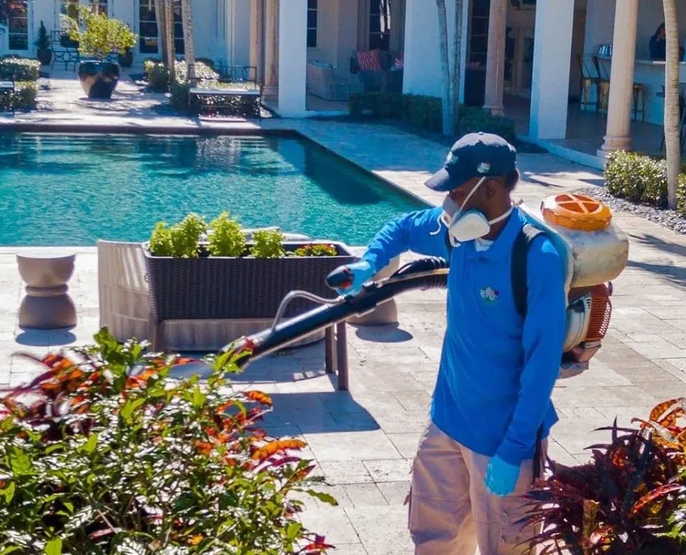 Custom landscaping services experts serving West Palm Beach, FL - Nozzle Nolen