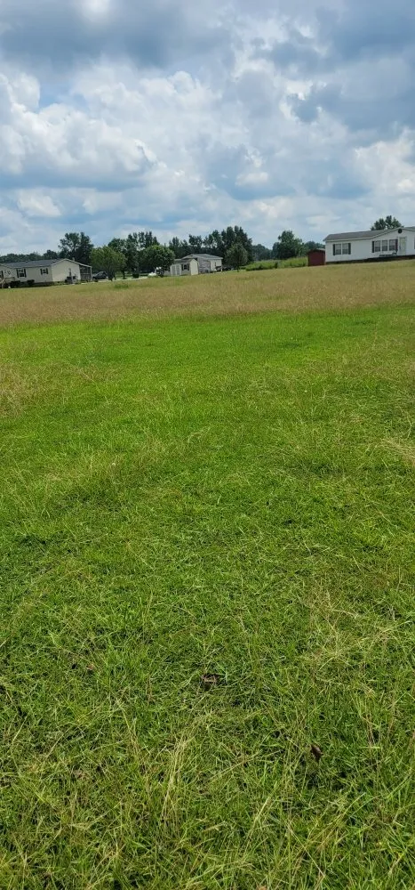 Reliable landscaping services for homes across Greenville, NC - N&P Lawn Care