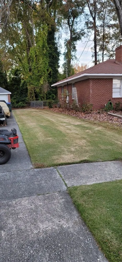 Top-rated lawn care service in Greenville, NC by N&P Lawn Care