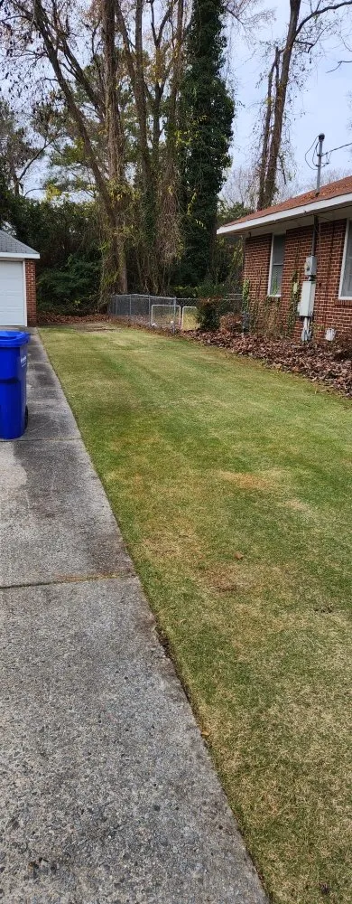 Affordable landscape design in Greenville, NC by N&P Lawn Care