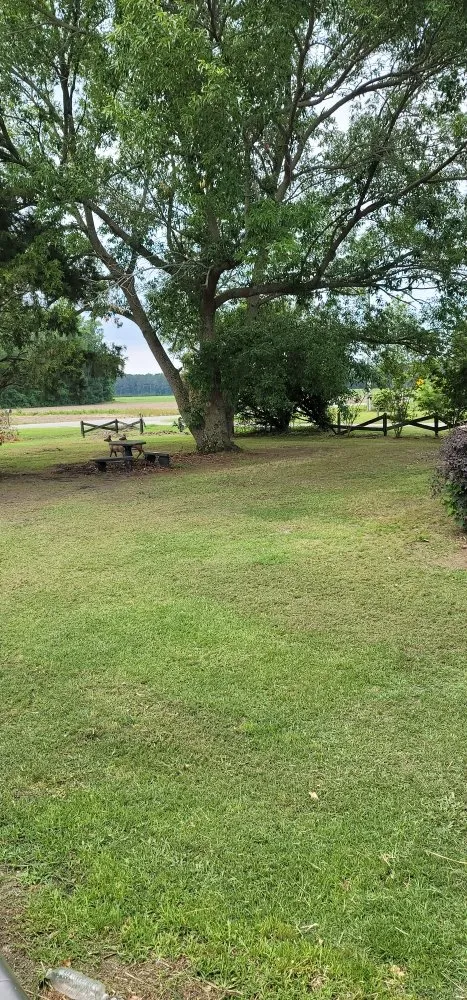 Custom residential landscaping with custom design across Greenville, NC - N&P Lawn Care