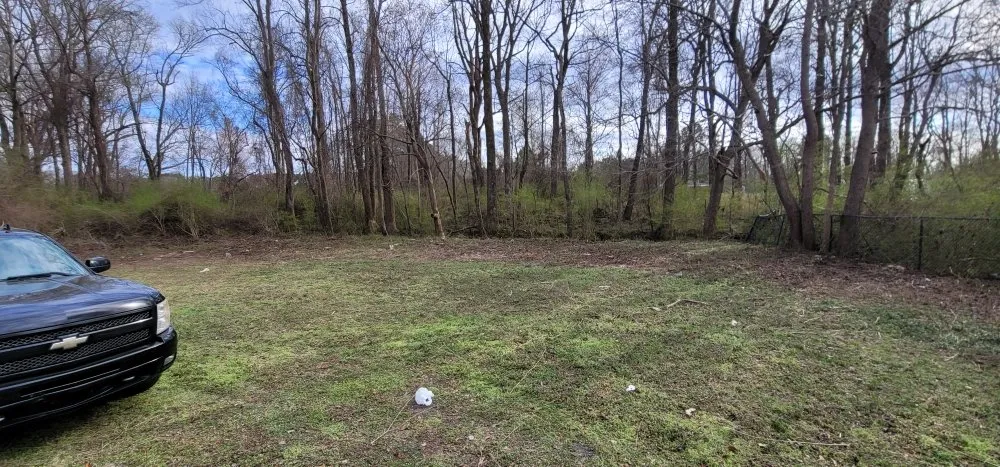 Custom yard cleanup service for year-round maintenance in Greenville, NC by N&P Lawn Care