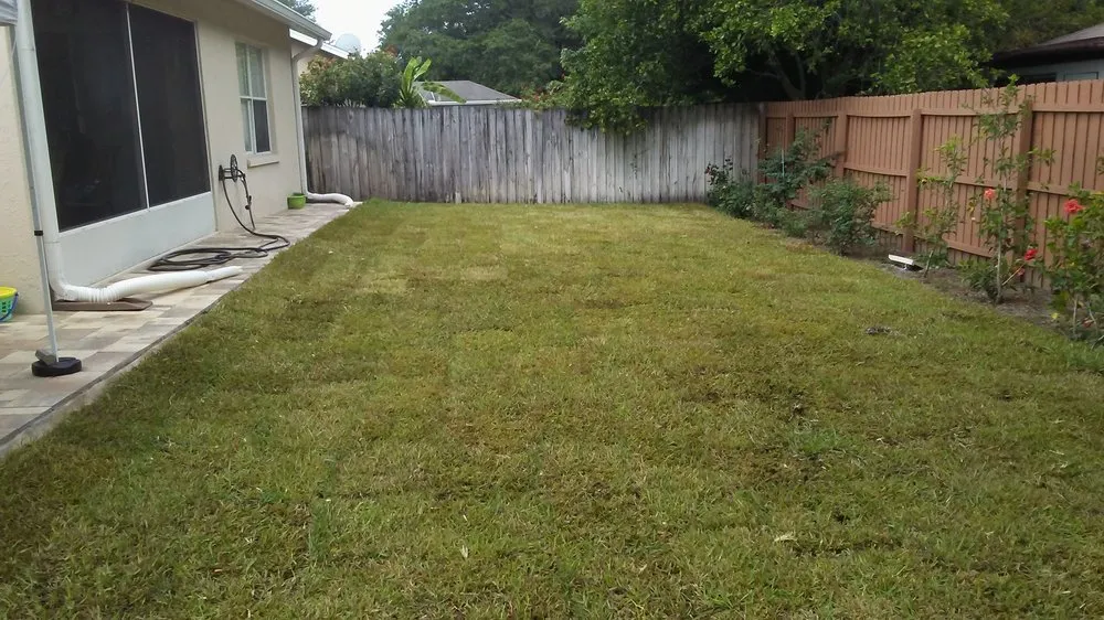 Expert outdoor landscaping near you across St. Petersburg, FL - NPD Landscaping