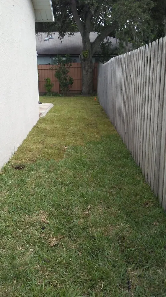 Expert landscaping services experts serving St. Petersburg, FL - NPD Landscaping