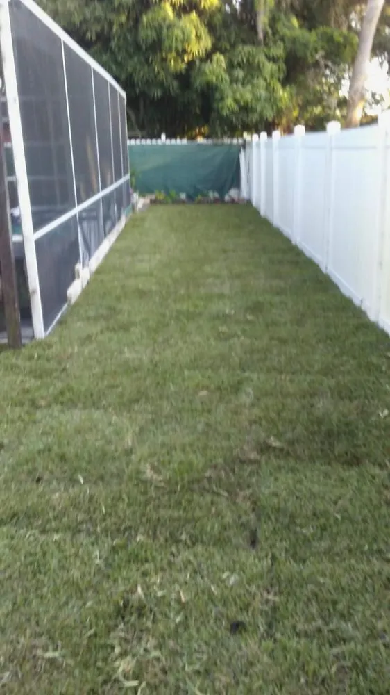 Affordable landscaping services with custom design in St. Petersburg, FL by NPD Landscaping