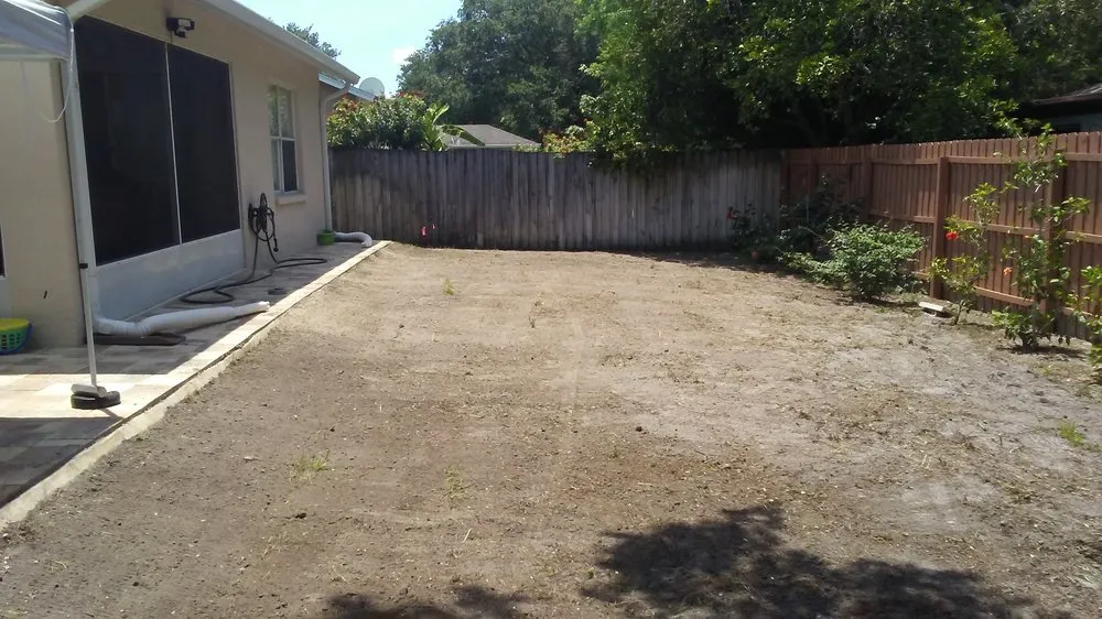 Reliable lawn mowing service for beautiful yards in St. Petersburg, FL by NPD Landscaping