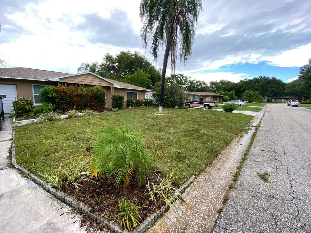 Local lawn care service for homes in St. Petersburg, FL by NPD Landscaping