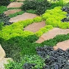 Trusted garden landscaping near you across St. Petersburg, FL - NPD Landscaping