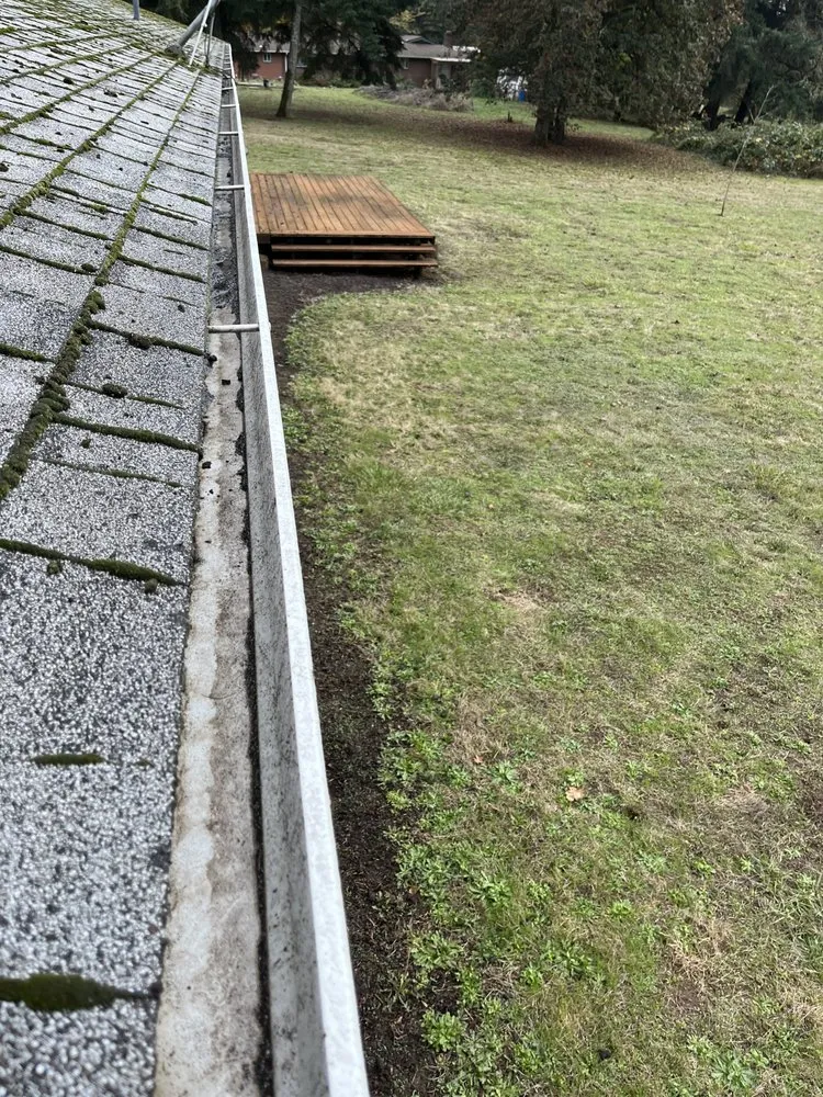 Professional yard cleanup service in Shedd, OR by NPM Lawn Care