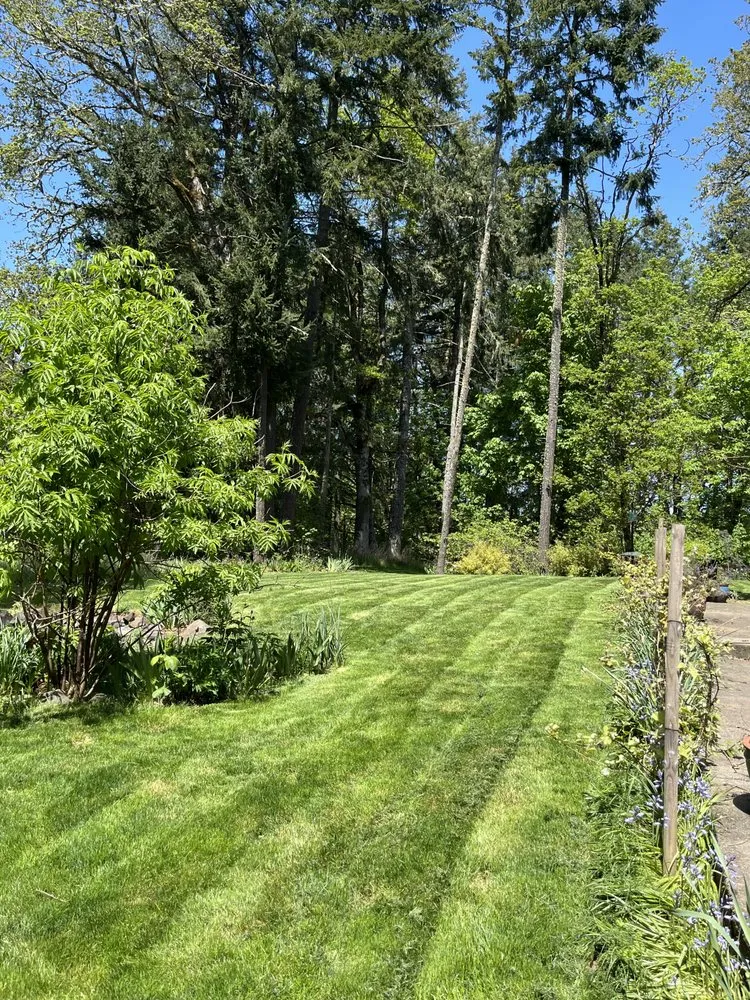 Trusted outdoor landscaping experts serving Shedd, OR - NPM Lawn Care