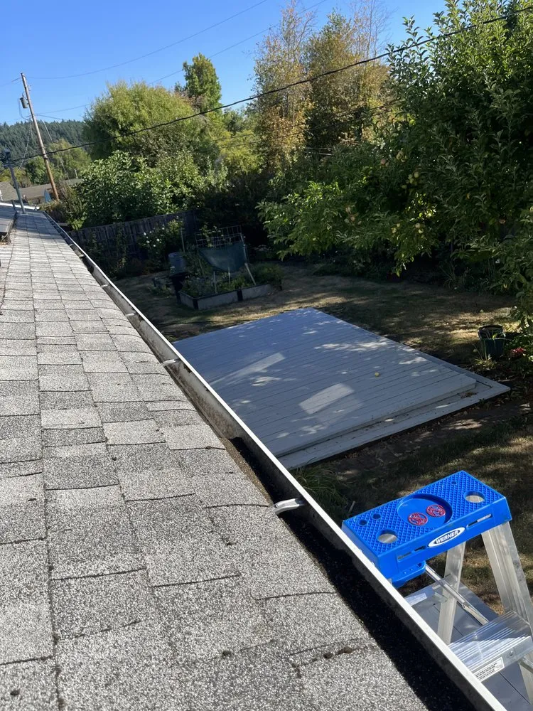 Trusted landscape installation near you across Shedd, OR - NPM Lawn Care
