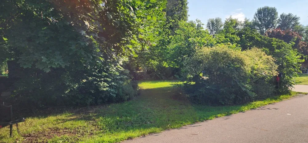 Custom yard maintenance for year-round maintenance across Laingsburg, MI - NPR Lawn and Snow