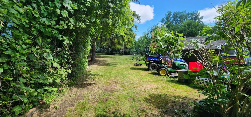 Reliable outdoor landscaping experts serving Laingsburg, MI - NPR Lawn and Snow