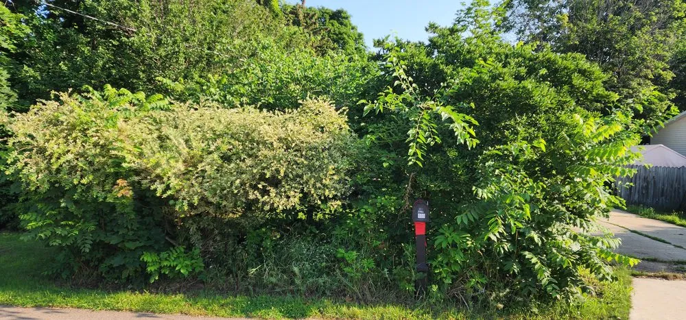 Reliable residential landscaping in Laingsburg, MI - NPR Lawn and Snow