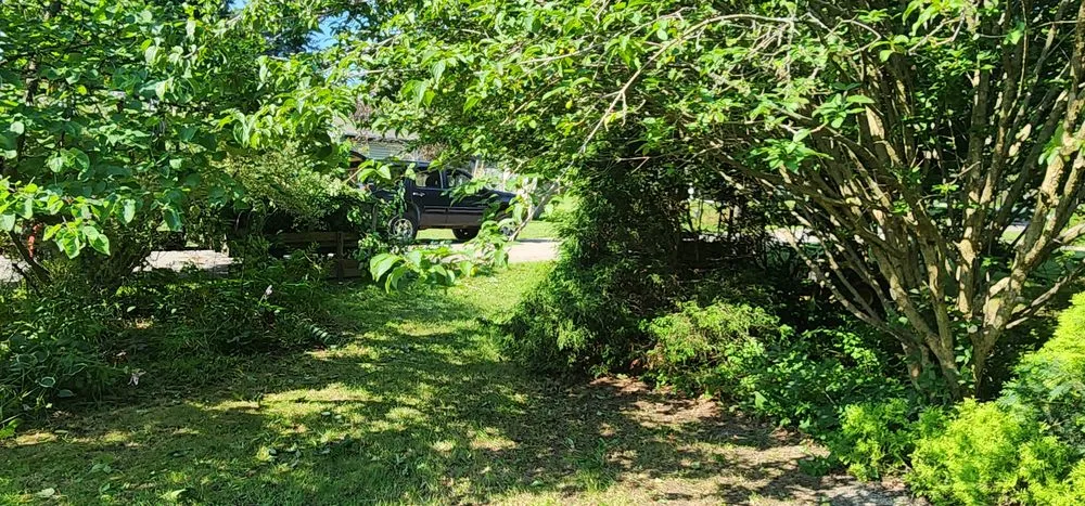 Affordable lawn mowing service with custom design across Laingsburg, MI - NPR Lawn and Snow