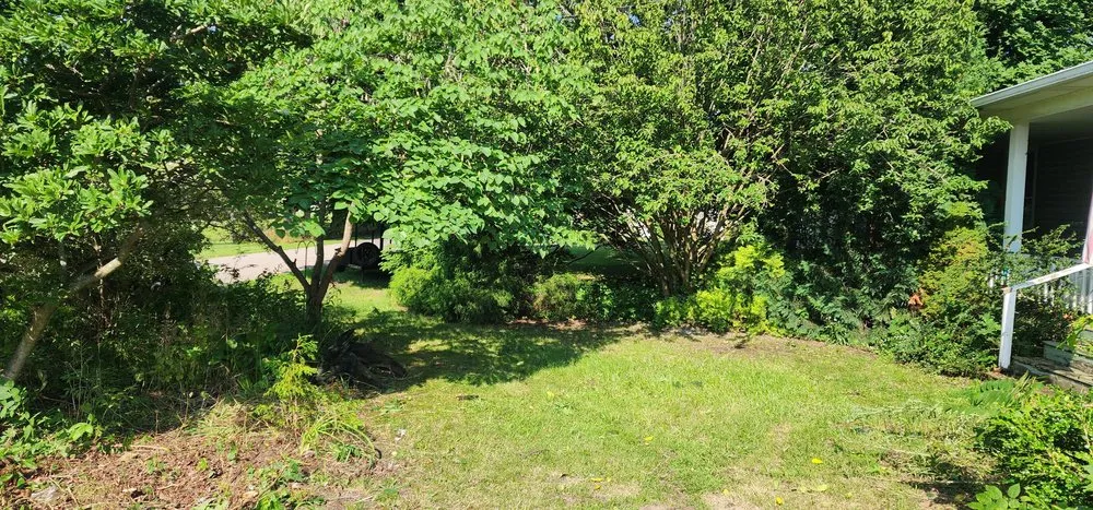 Trusted lawn mowing service near you across Laingsburg, MI - NPR Lawn and Snow