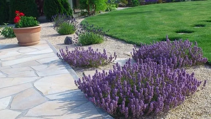 Affordable outdoor landscaping for homes in Jurupa Valley, CA by NPS Landscaping