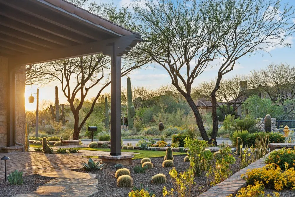 Professional outdoor landscaping for beautiful yards in Peoria, AZ by N.R Design+Build