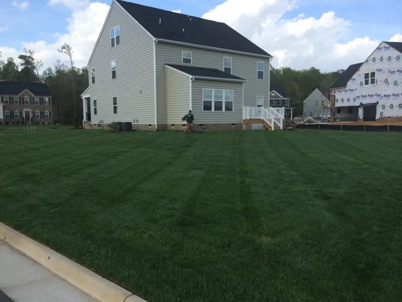 Expert yard maintenance in Chester, VA - N.R. Hayes Lawn Care