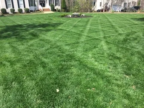 Local lawn mowing service in Chester, VA - N.R. Hayes Lawn Care