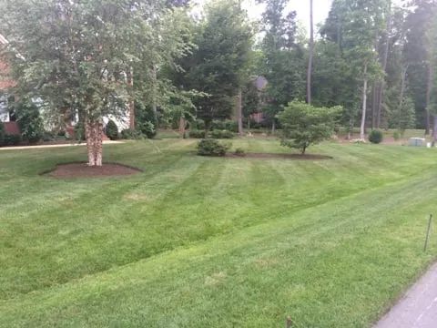 Affordable yard maintenance in Chester, VA - N.R. Hayes Lawn Care