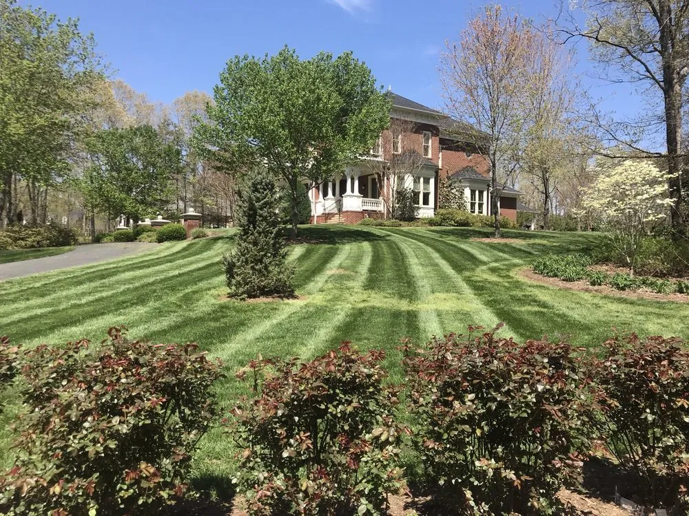 Affordable yard maintenance for homes across Chester, VA - N.R. Hayes Lawn Care