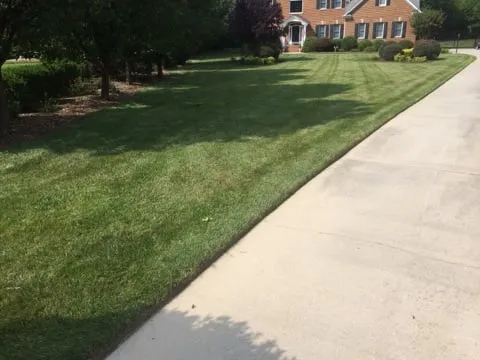 Local yard cleanup service with custom design in Chester, VA by N.R. Hayes Lawn Care