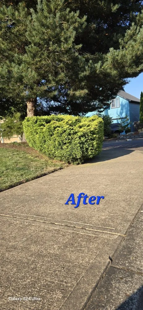Local landscape installation for year-round maintenance across Independence, OR - Nr Landscaping Services