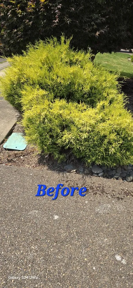 Trusted garden landscaping in Independence, OR - Nr Landscaping Services