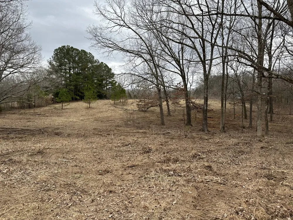 Professional lawn care service experts serving Atoka, TN - NR Lawn & Landscaping