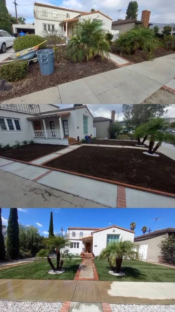 Top-rated yard cleanup service in San Fernando, CA by NRC Landscaping