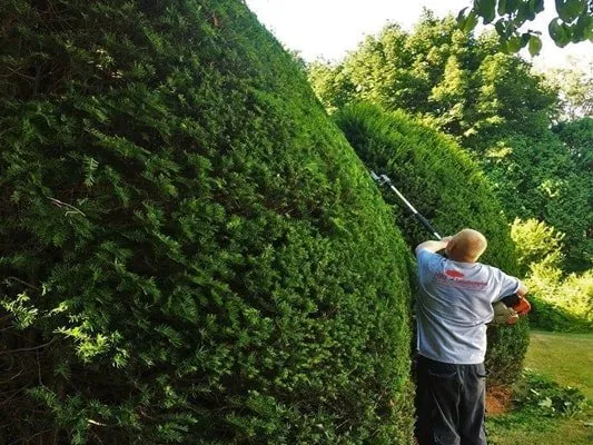 Trusted landscape installation in Cumberland, RI - NRI Landscaping