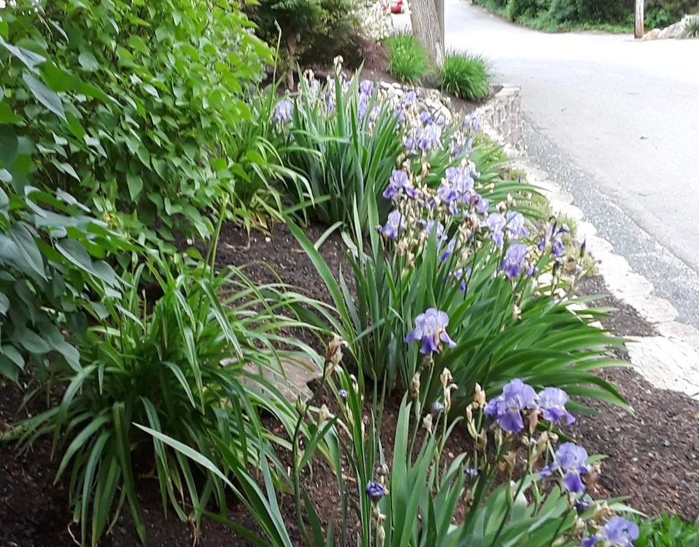 Expert landscape installation in Cumberland, RI by NRI Landscaping