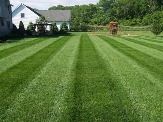 Expert lawn care service experts serving Cumberland, RI - NRI Landscaping