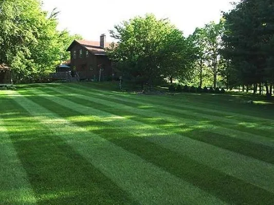 Local yard cleanup service in Cumberland, RI - NRI Landscaping