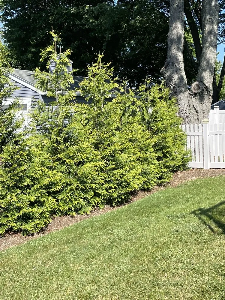 Expert yard cleanup service with custom design across Cumberland, RI - NRI Landscaping