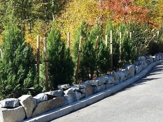 Reliable lawn mowing service with custom design in Cumberland, RI by NRI Landscaping