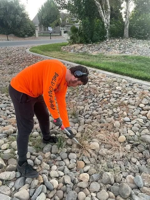 Custom lawn care service for beautiful yards in Atwater, CA by N.S Landscaping