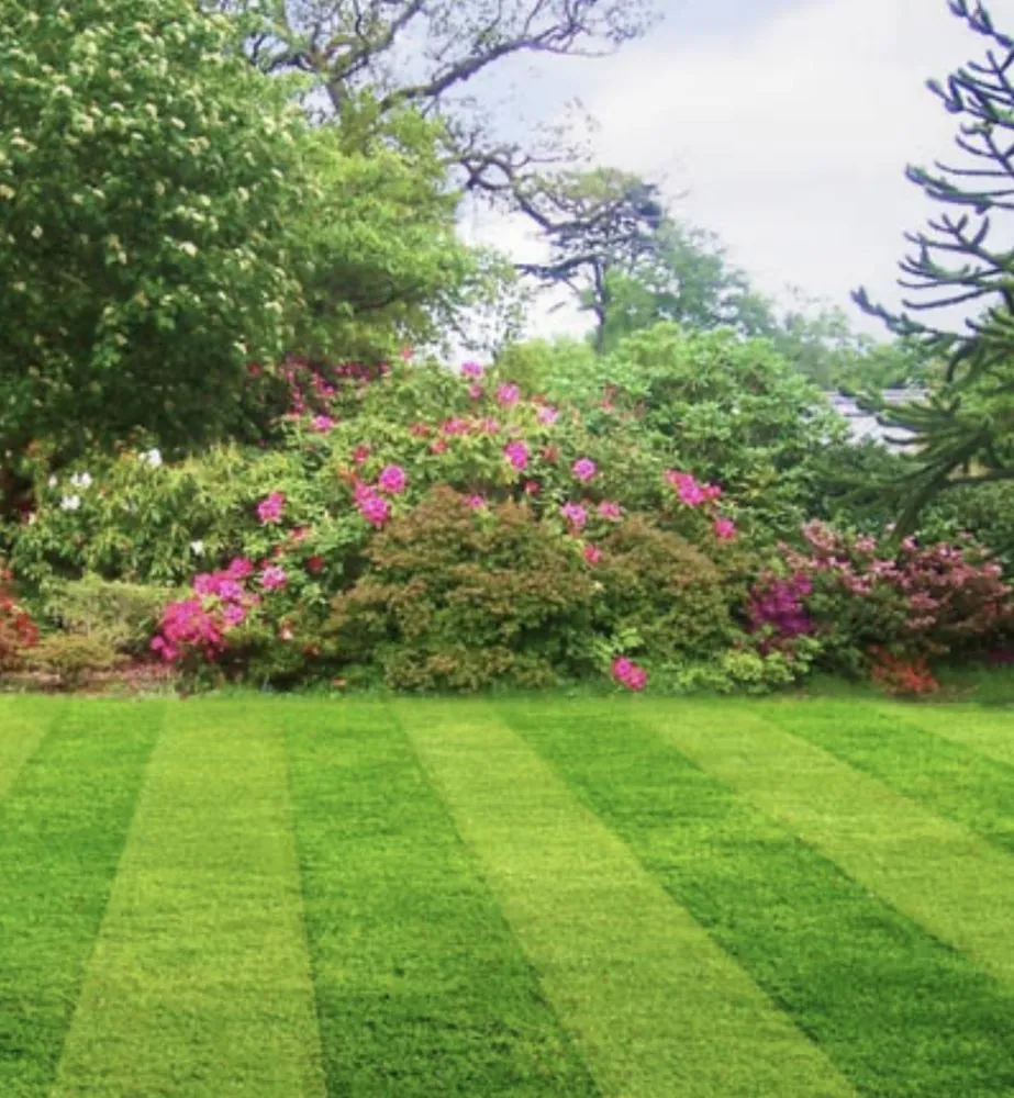Reliable residential landscaping near you in Brookhaven, PA by Ns Landscaping